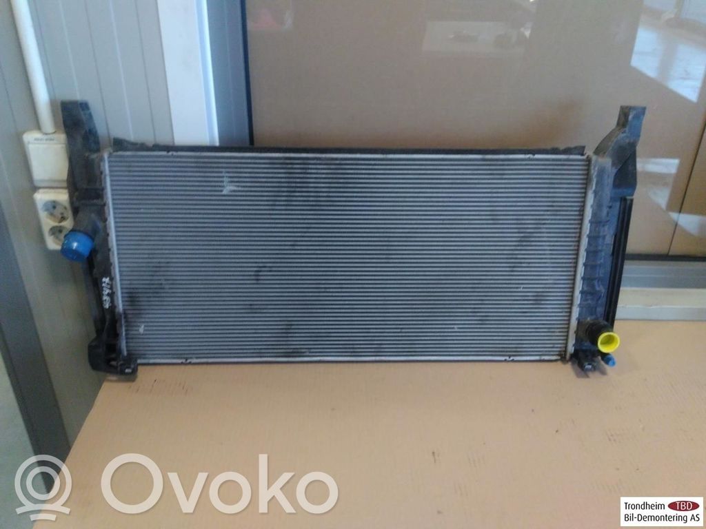 BMW 2 F45 Radiator lichid răcire 