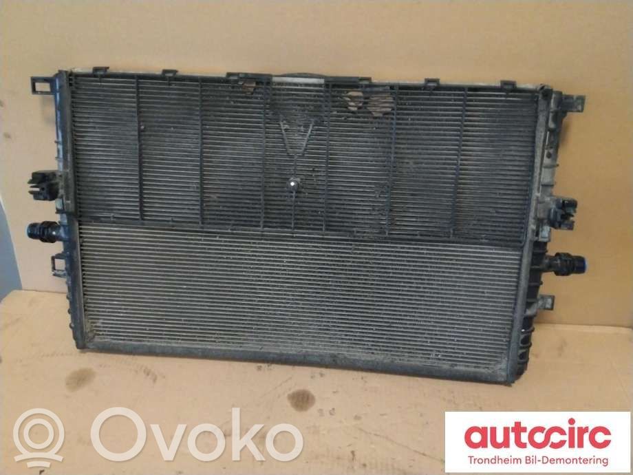 Tesla Model 3 Oro kondicionieriaus radiatorius aušinimo 