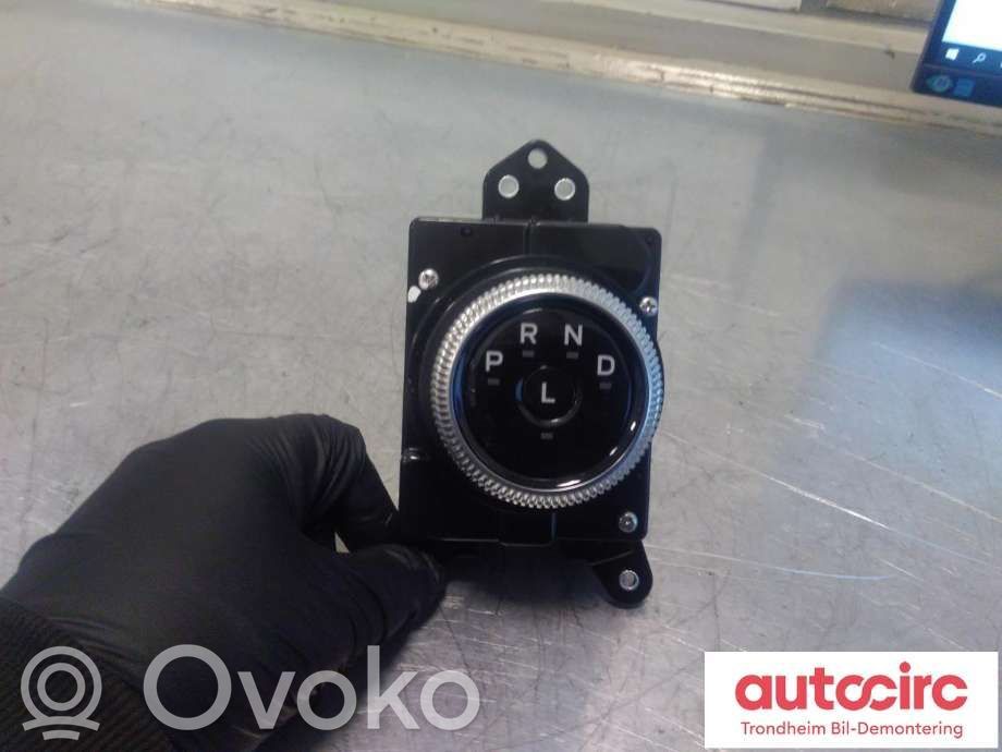 Ford Mustang Mach-E Selector de cambios 