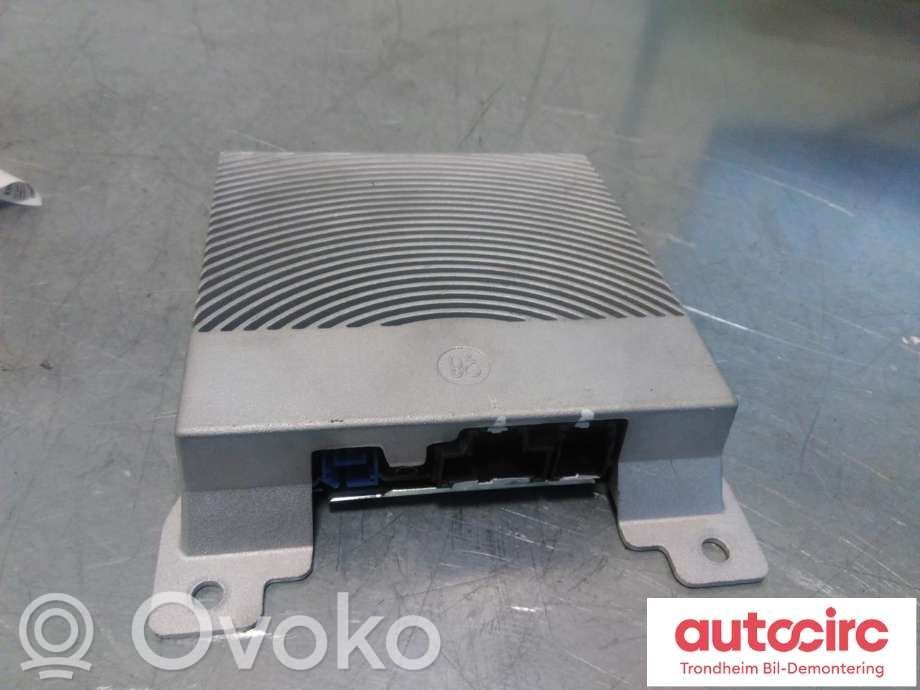 Ford Mustang Mach-E Amplificator sunet 
