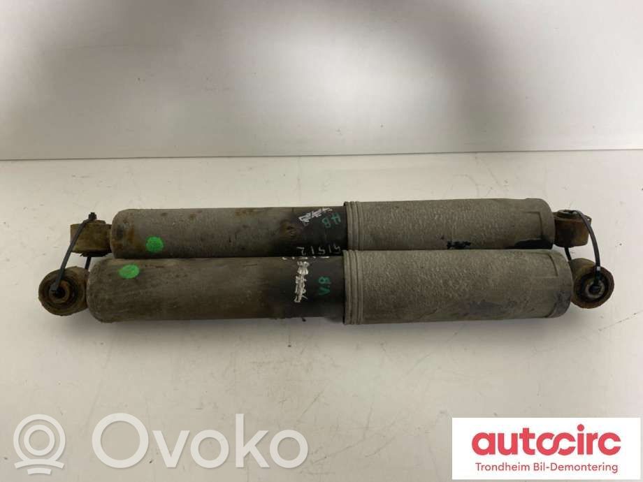 Opel Antara Stoßdämpfer hinten 