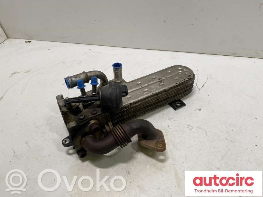Mitsubishi Outlander Refroidisseur de vanne EGR 