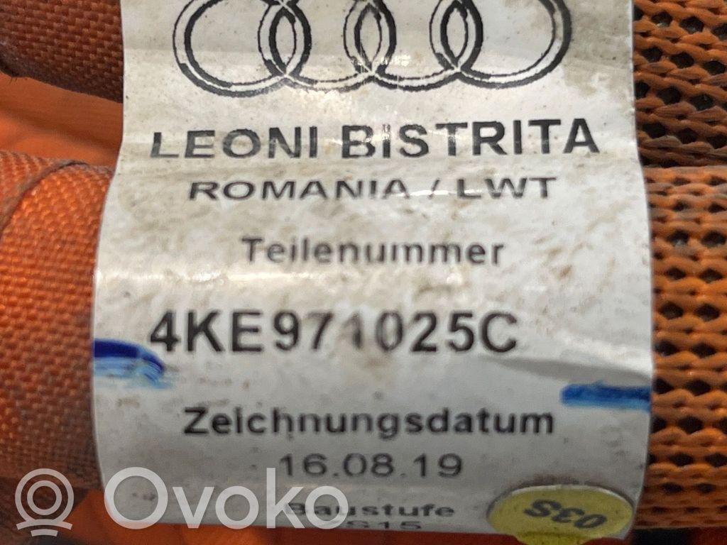 Kabel wysokiego napięcia   4KE971125C,4KE9710025C,4KE9710025C,4KE9710025C,4KE971125C
