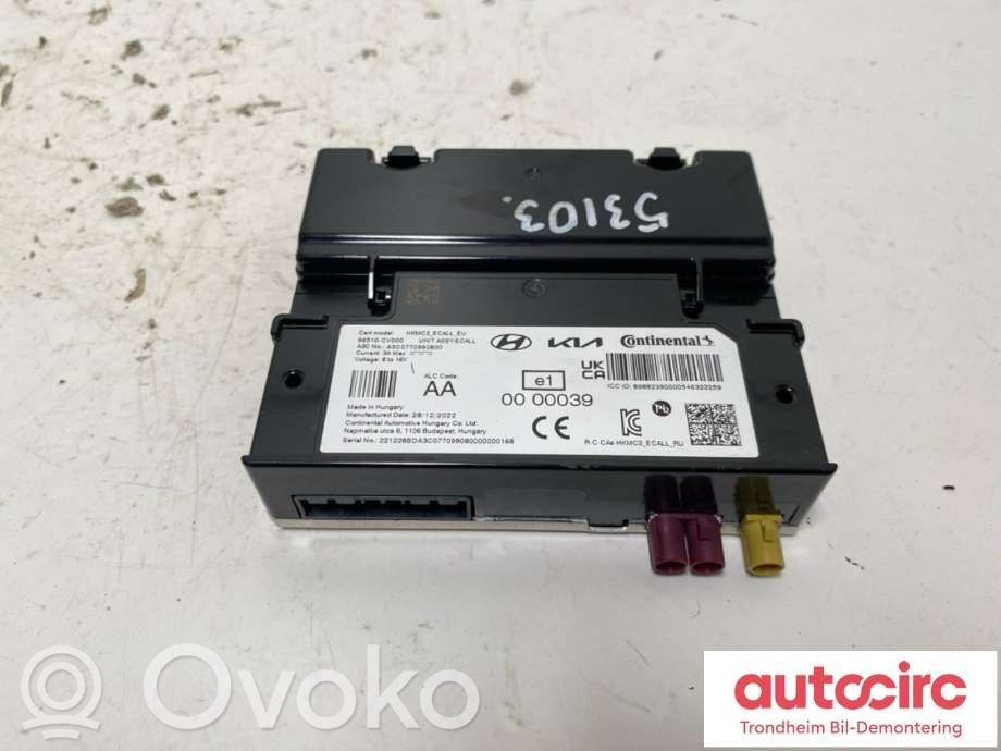 KIA EV6 Other control units/modules 