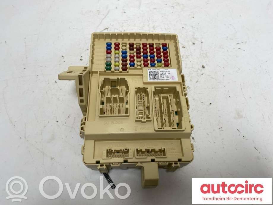 Sulakerasiasarja   91950CV101,91950CV101