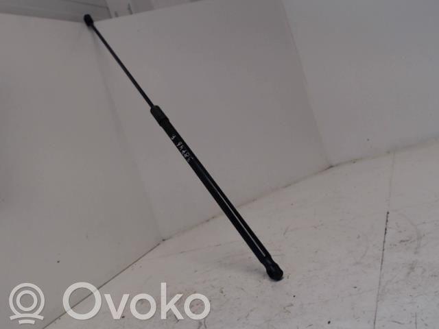 Volkswagen e-Golf Ammortizzatore portellone anteriore/cofano