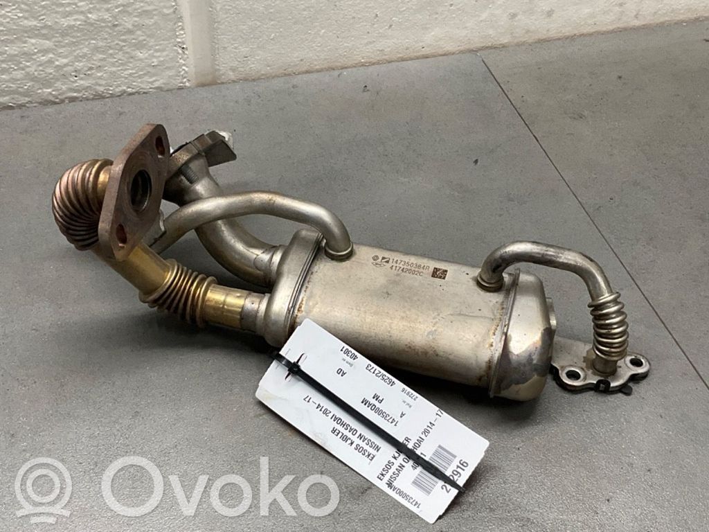 Nissan Qashqai Valvola di raffreddamento EGR 