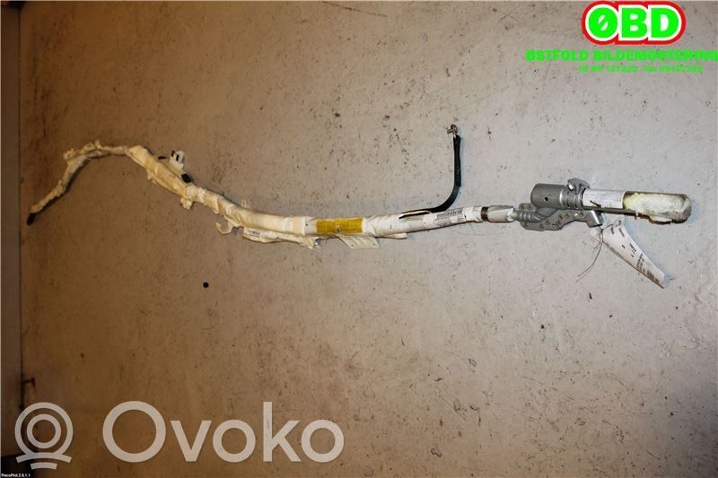 Airbag del techo   72129143352,72129143352
