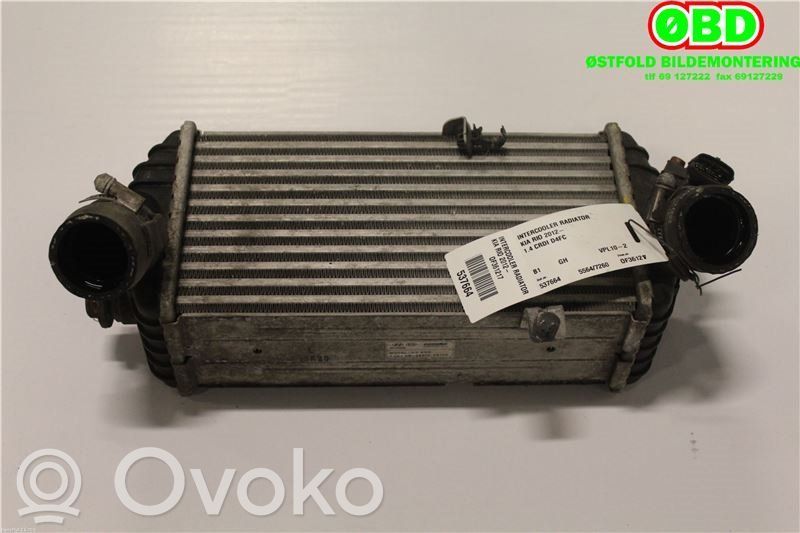 KIA Rio Interkūlerio radiatorius 