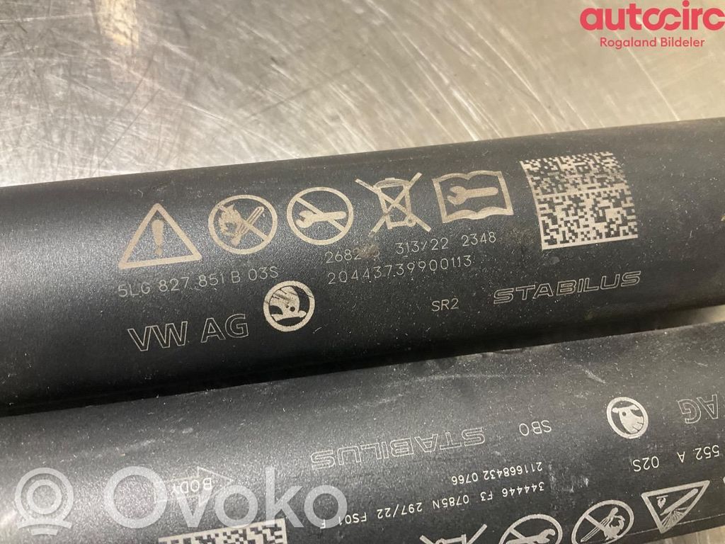 Skoda Enyaq iV Zuziehhilfe Heckklappe Kofferraumdeckel 