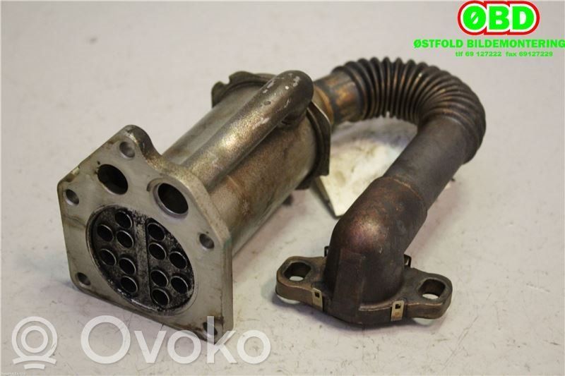 Nissan Qashqai Răcitor supapă EGR