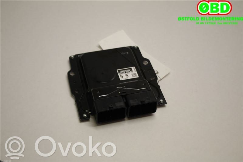 Nissan Leaf I (ZE0) Alte unități/module de control 