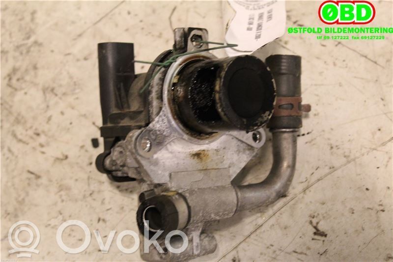 Válvula EGR   8200846454,8200846454