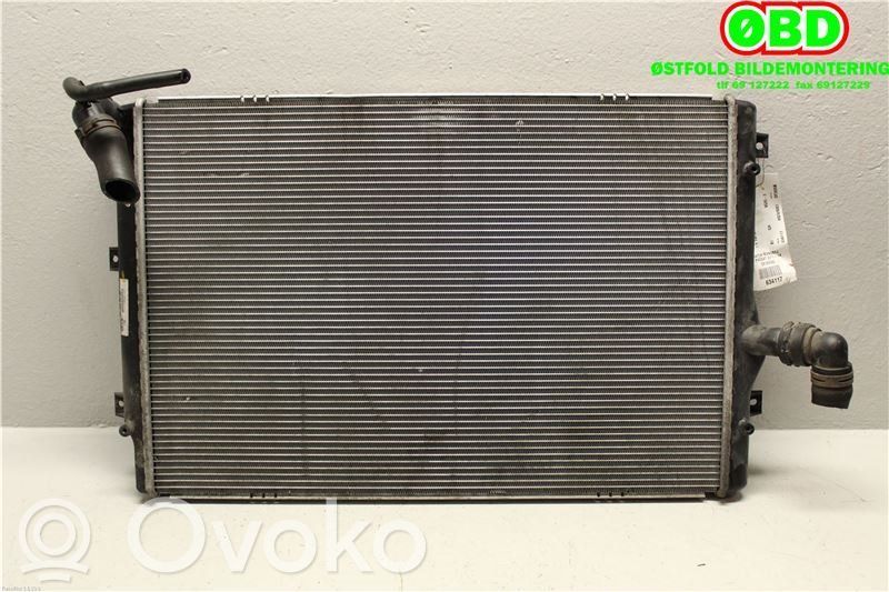 Volkswagen PASSAT B7 Radiatore di raffreddamento 