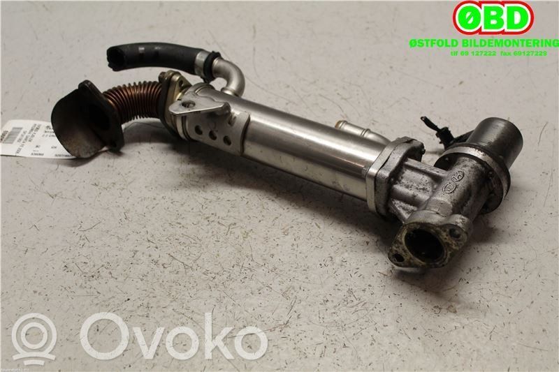 Hyundai Santa Fe Valvola di raffreddamento EGR 