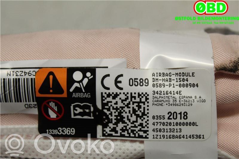 Kopfairbag   3647450,3552018,3552018,3647450