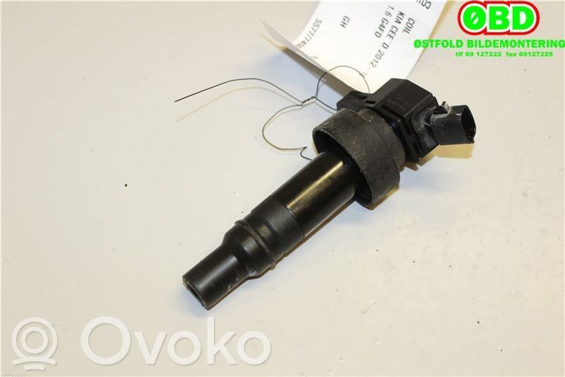 High voltage ignition coil   273012B100,273012B100,273012B100,273012B100