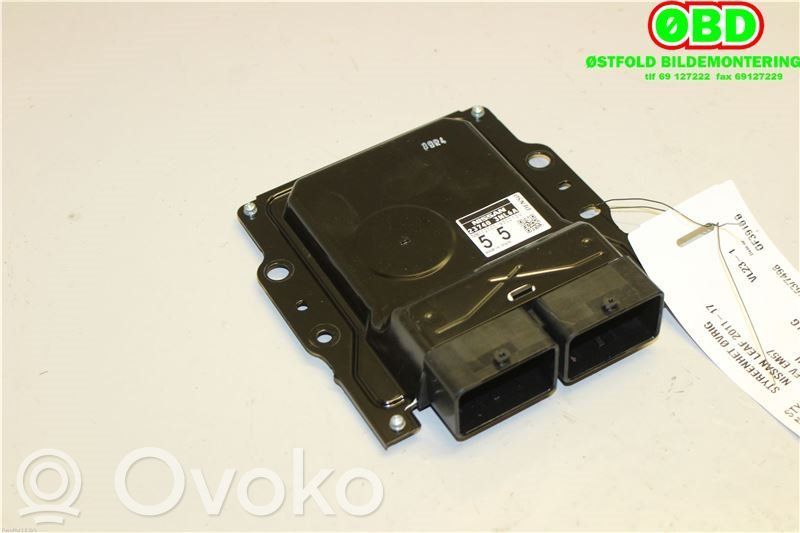 Nissan Leaf I (ZE0) Alte unități/module de control 