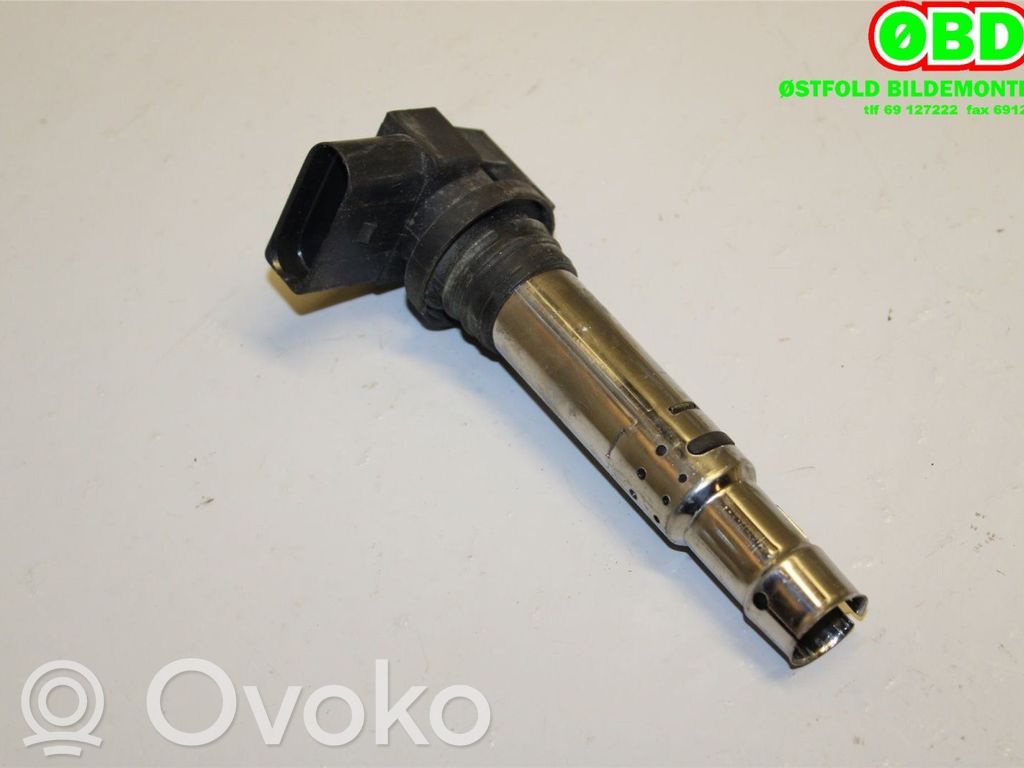 Skoda Octavia Mk2 (1Z) Bobina di accensione ad alta tensione