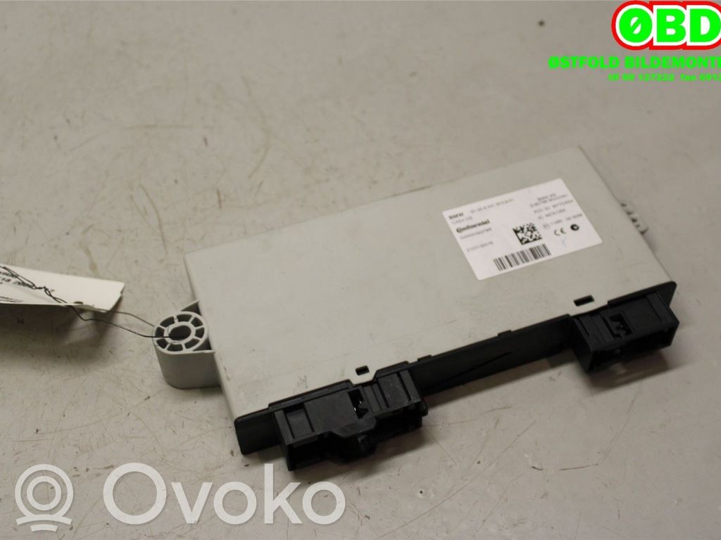 BMW 5 F10 F11 Altre centraline/moduli