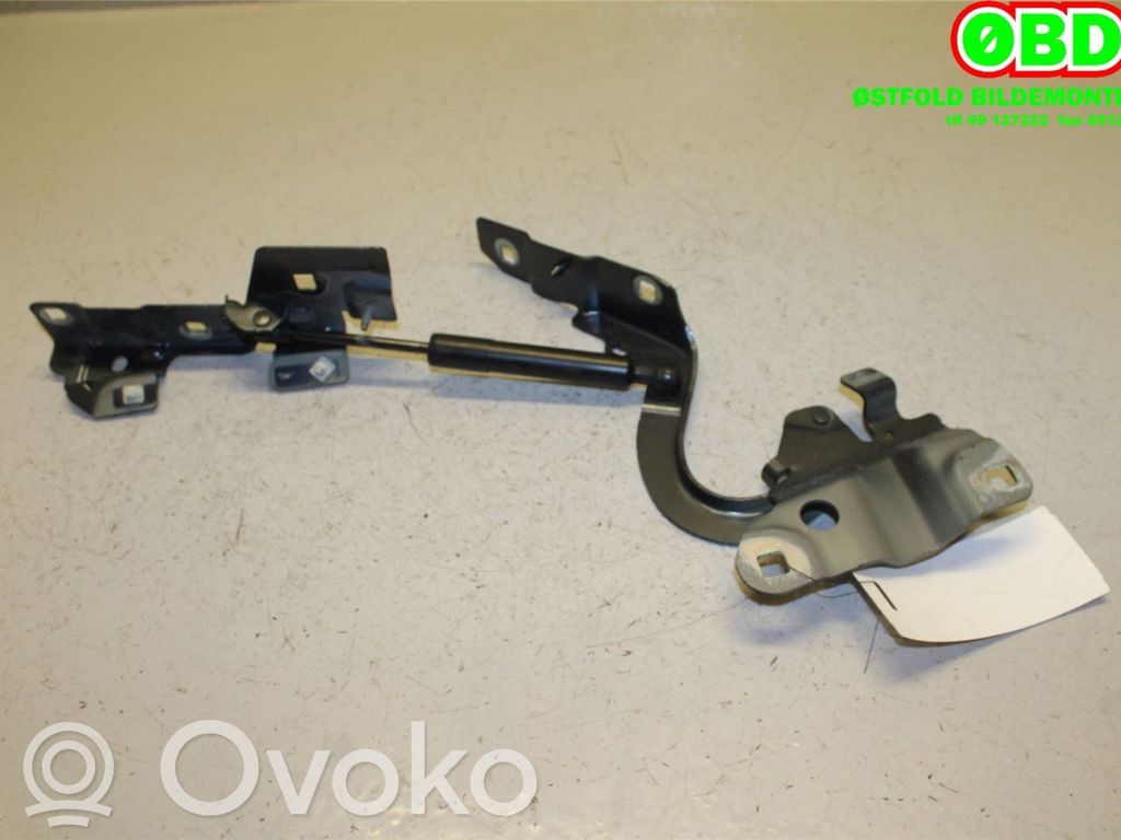Renault Zoe Cerniere del vano motore/cofano 