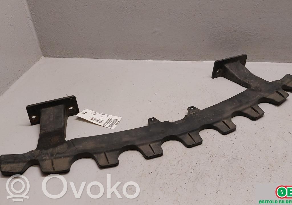 Tesla Model S Radiatorių panelė 