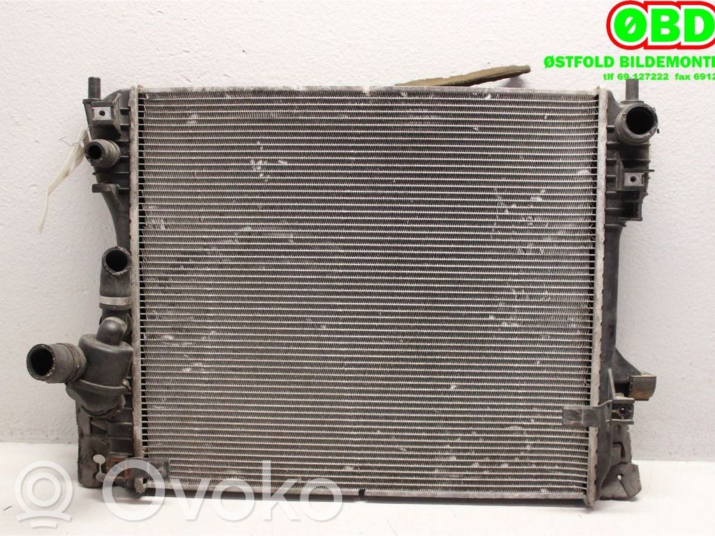 Jaguar XF X250 Coolant radiator 