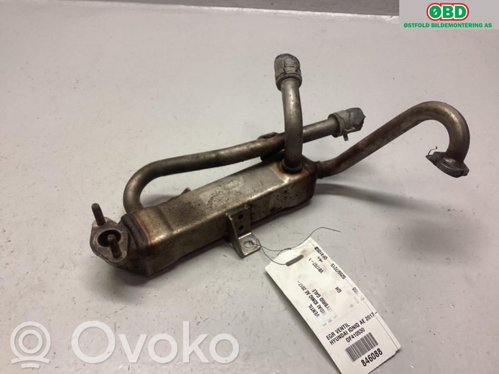 Hyundai Ioniq Valvola di raffreddamento EGR 