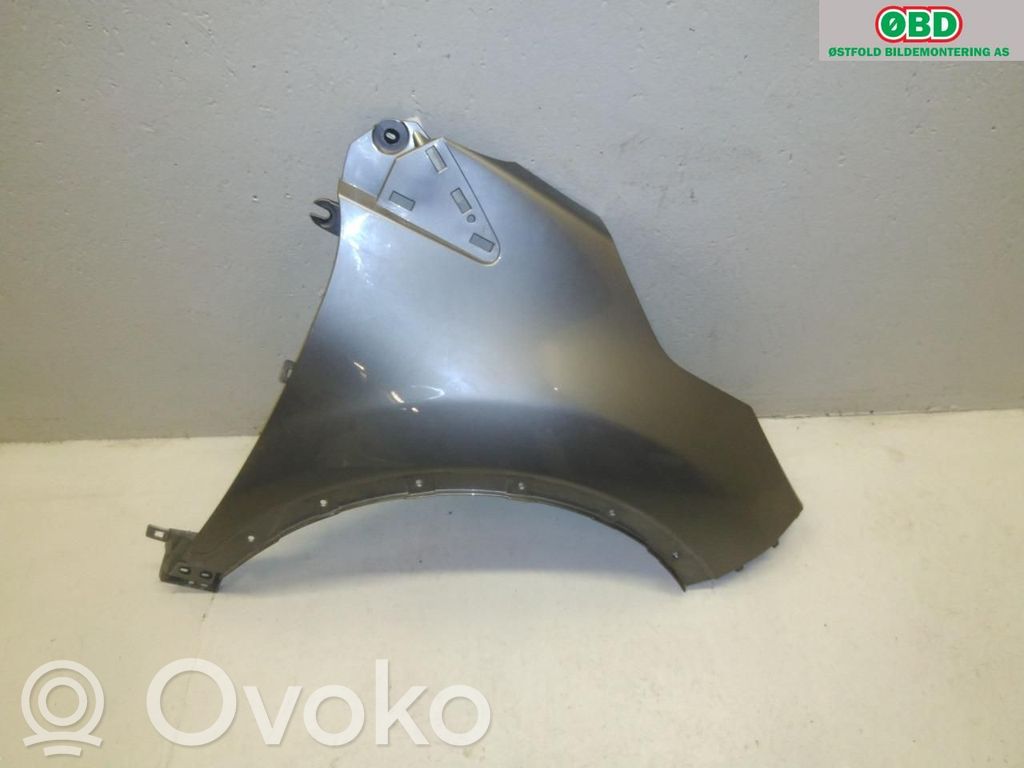 Guardabarro   631008862R,631008862R