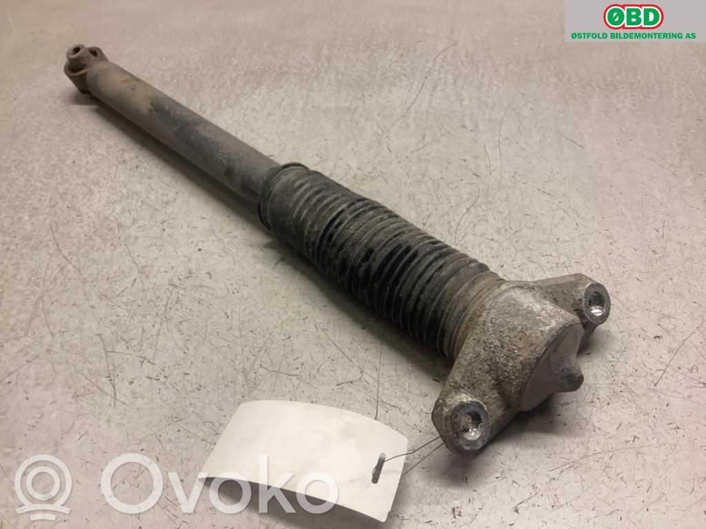 Hyundai Ioniq 5 Ammortizzatore posteriore