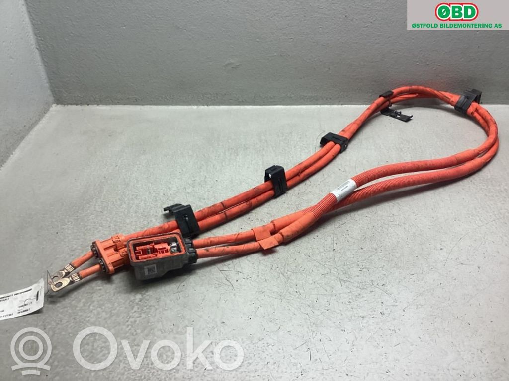 Cable de alta tensión   31674433,31674433
