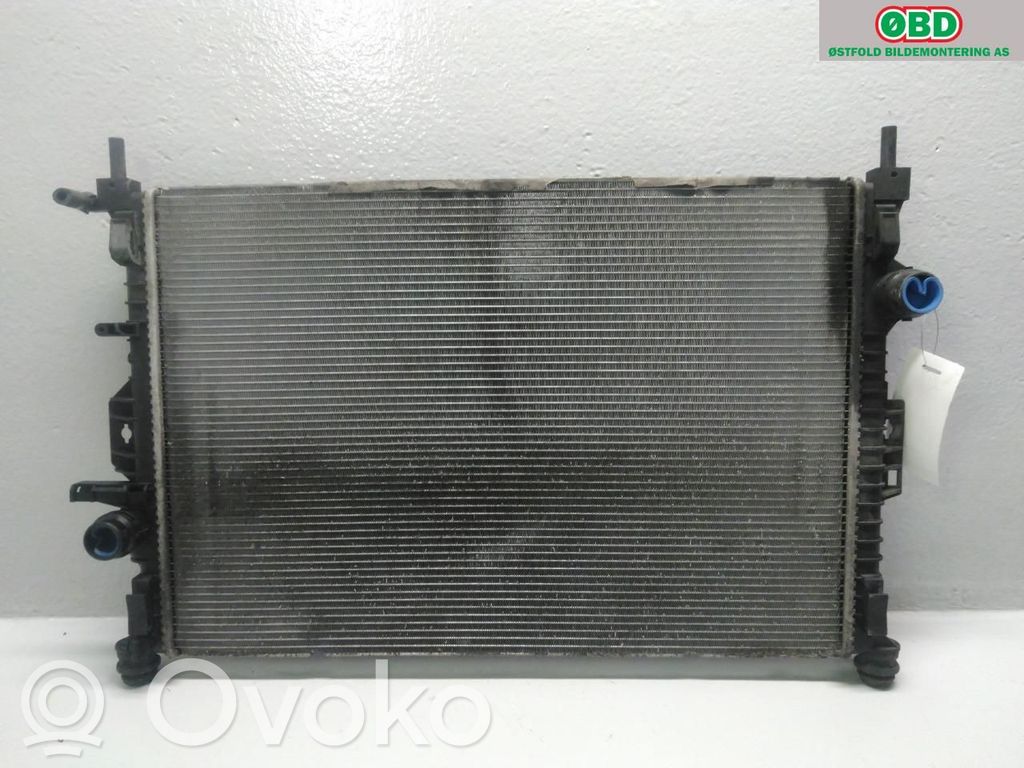 Radiatore di raffreddamento   1762395,1762395