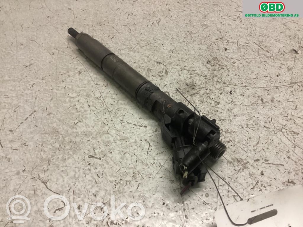 Inyector de combustible   36001113,36001113