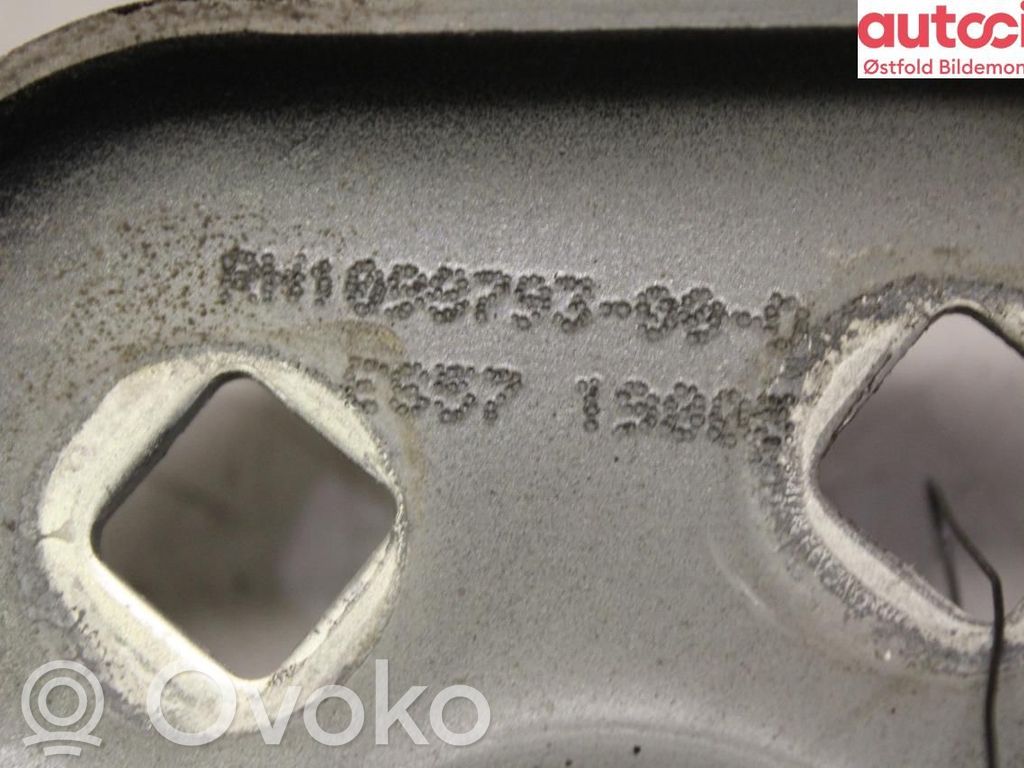 Tesla Model 3 Balamale capotă 