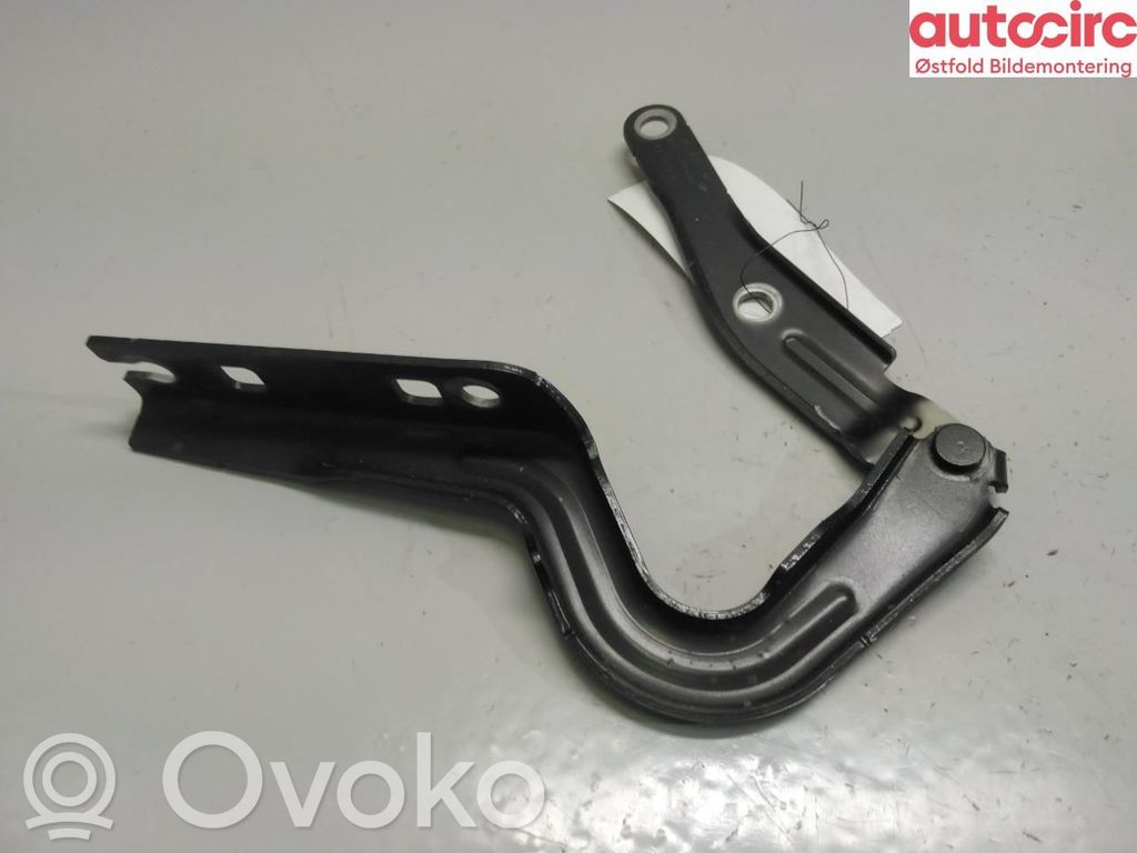 Volkswagen ID.4 Cerniere del vano motore/cofano
