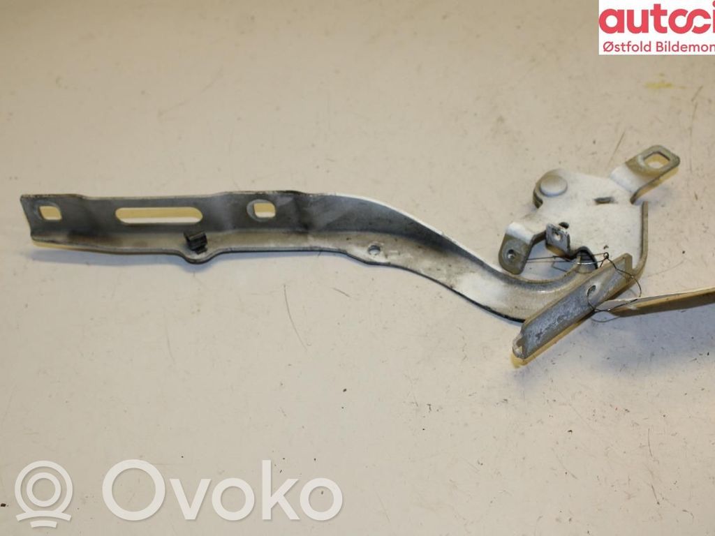 Citroen Jumpy Dzinēja pārsega eņģe (-es) 