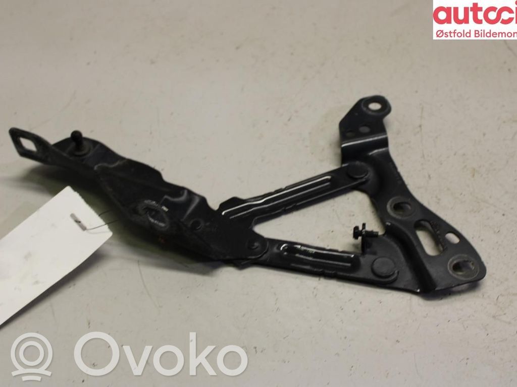 Tesla Model X Engine bonnet/hood hinges 