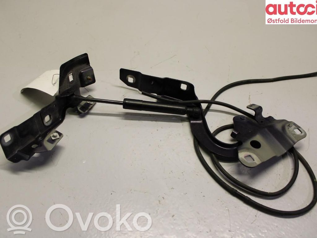 Renault Zoe Cerniere del vano motore/cofano 