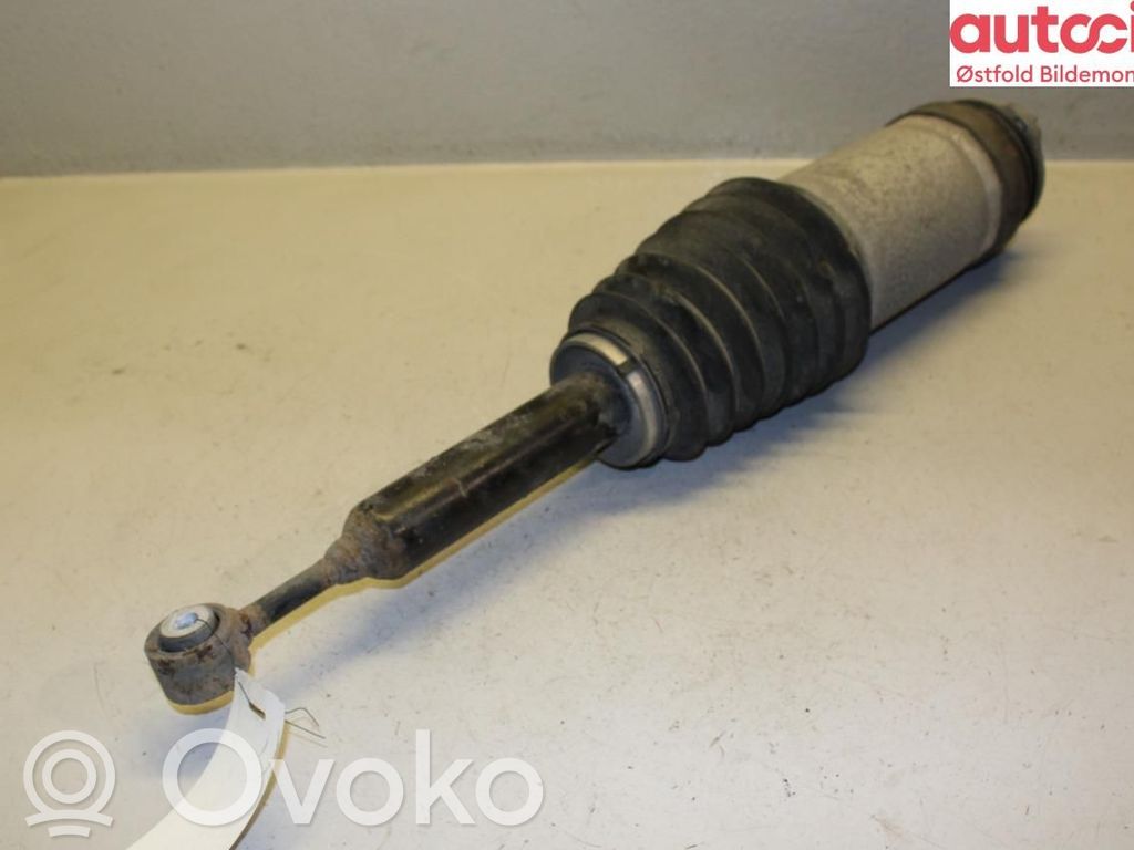 Tesla Model X Butelie suspensie pneumatică 