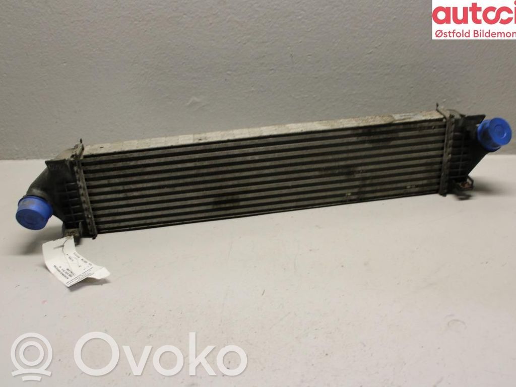 Interkūlerio radiatorius   1673687,1673687