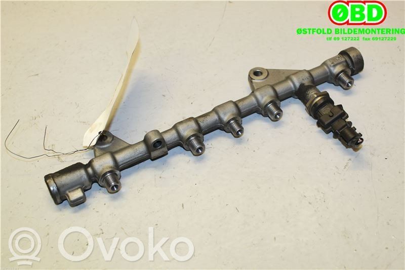 Renault Scenic II - Grand scenic II Fuel splitter
