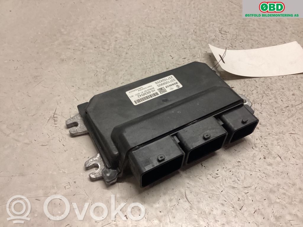 Engine control unit/module ECU