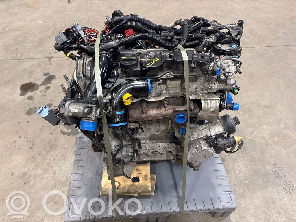 Silnik   36002125,36002125