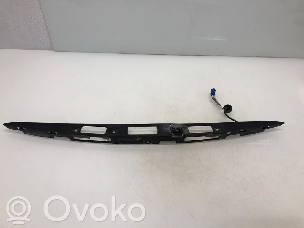 Reversing camera   100677300D,100677300D,100677300E,100677300F,106126900A,106126900B,106126900C,106126900D