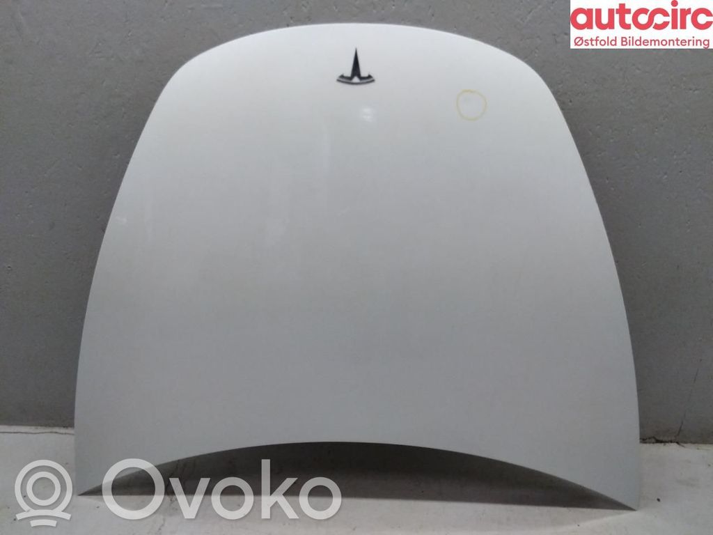 Tesla Model 3 Dzinēja pārsegs (vāks) 