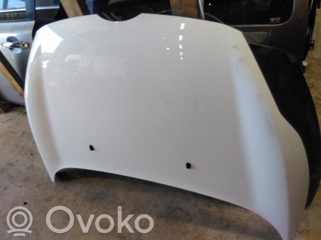 Ford Fiesta Konepelti 