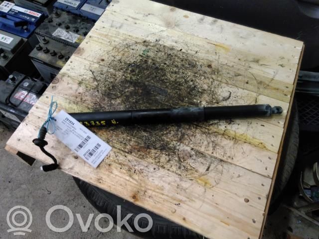 BMW 2 F45 Ammortizzatore portellone posteriore/bagagliaio 