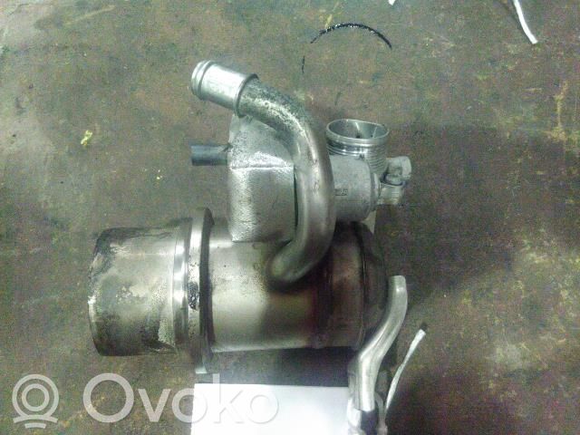 Volkswagen Tiguan Supapă EGR 