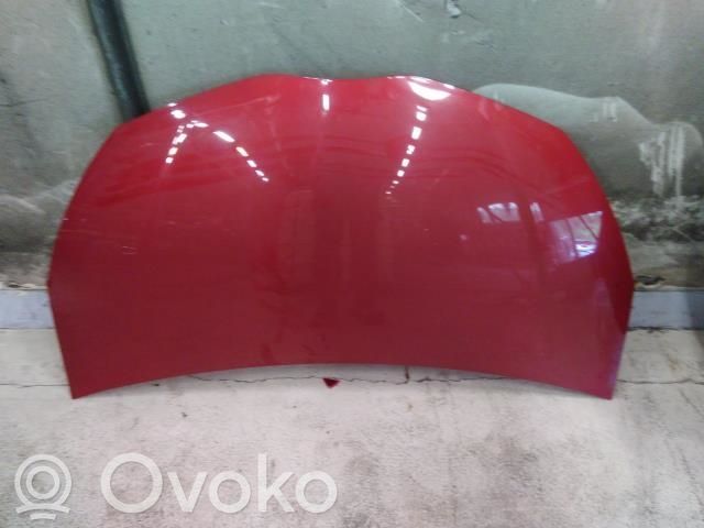 Toyota Yaris Konepelti 