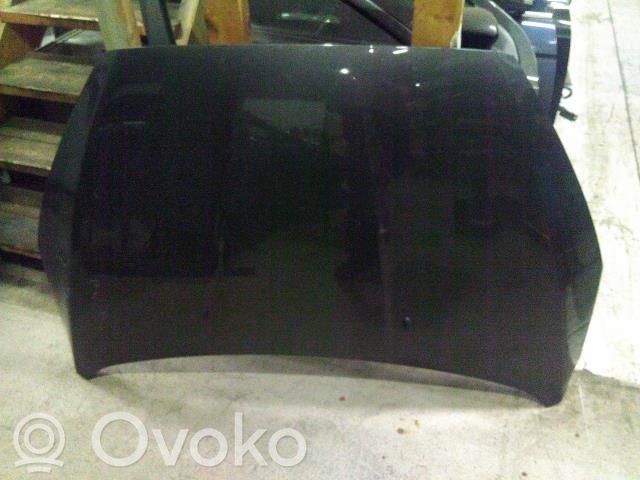 Vano motore/cofano